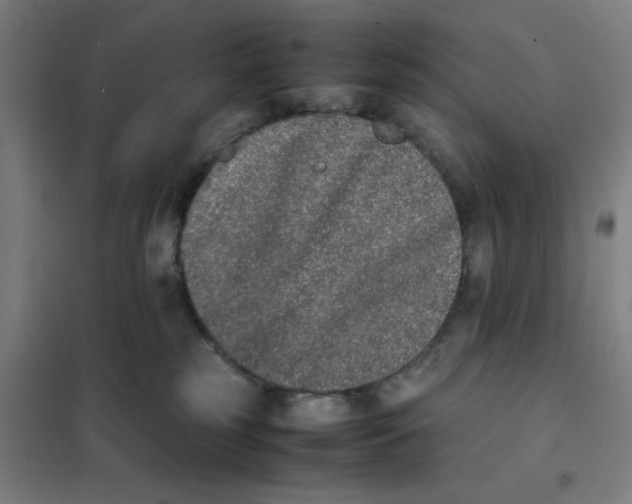 X0000101220185200807251120