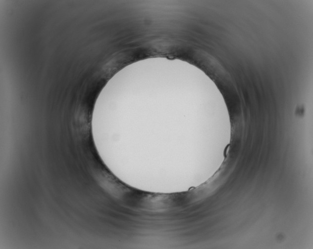 X0000101220186200807251120