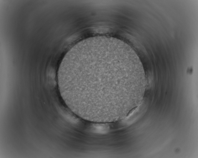 X0000101220187200807251120