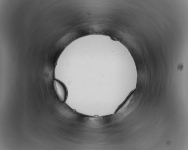 X0000101220188200807251120