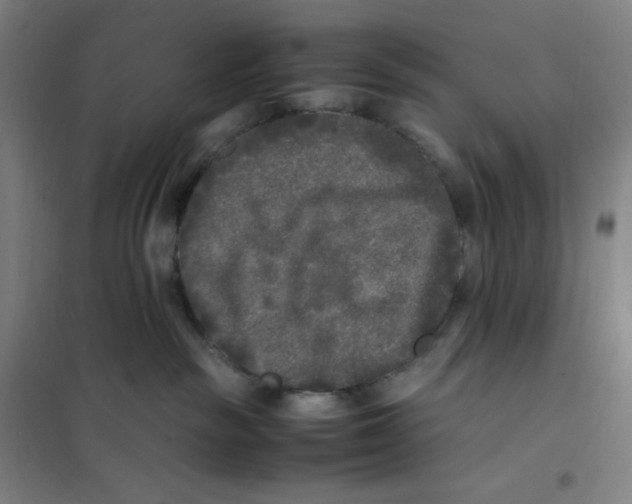 X0000101220189200807251120
