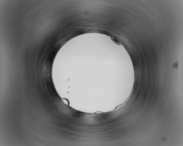 X0000101220190200807251120