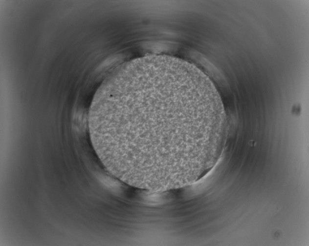X0000101220191200807251120