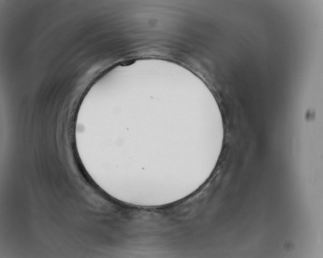 X0000101220193200807251119