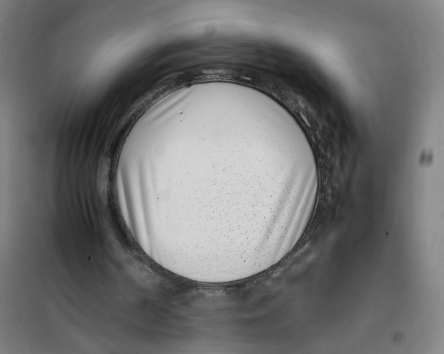 X0000101220194200807251119