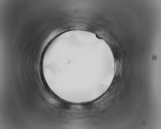 X0000101220195200807251119