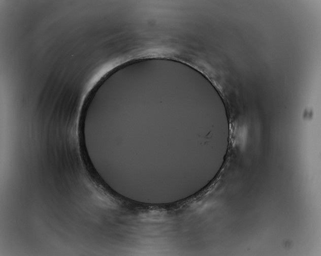 X0000101220196200807251119