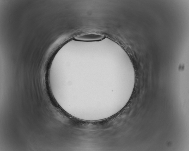 X0000101220197200807251119