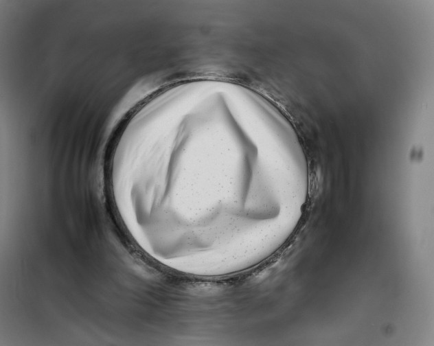 X0000101220198200807251119