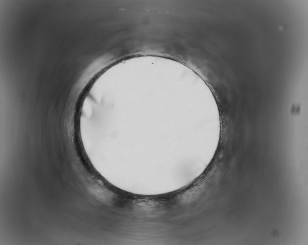 X0000101220199200807251119