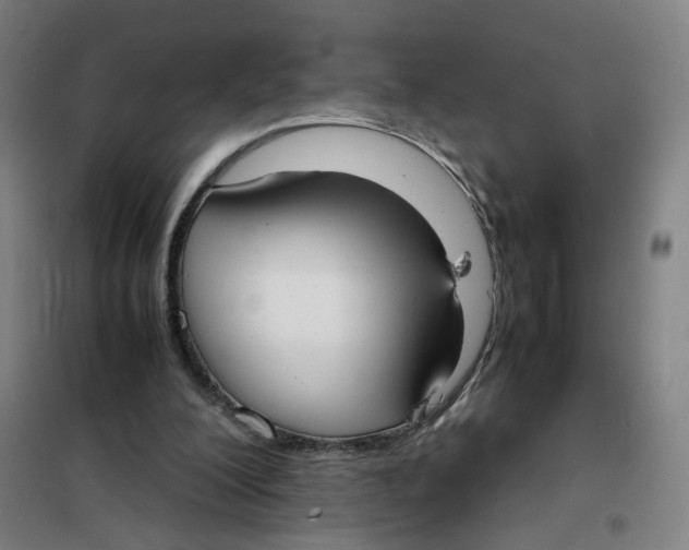 X0000101220200200807251119