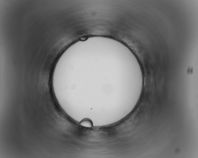 X0000101220201200807251119