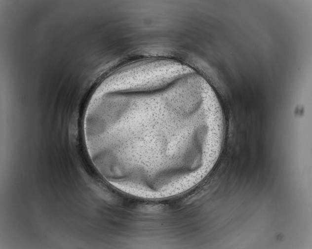 X0000101220202200807251119