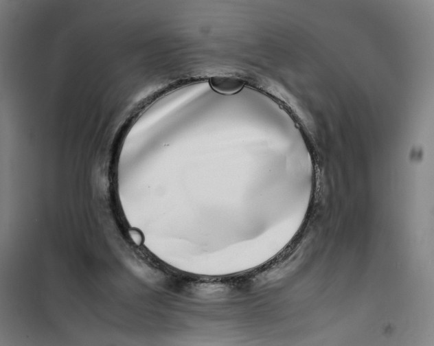 X0000101220203200807251119