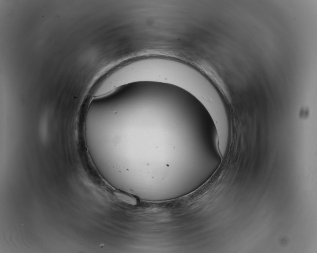 X0000101220204200807251119
