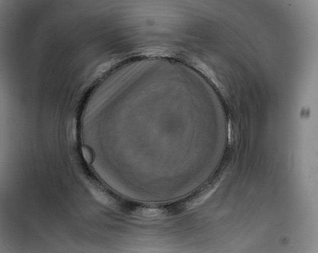 X0000101220205200807251119
