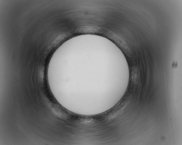 X0000101220206200807251119