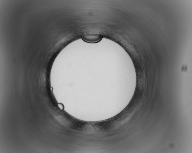 X0000101220207200807251119