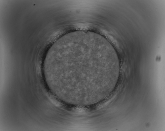X0000101220209200807251119