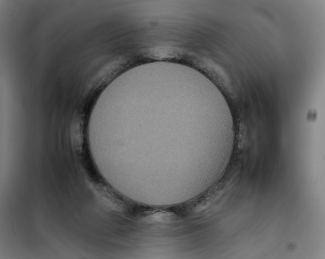 X0000101220210200807251119