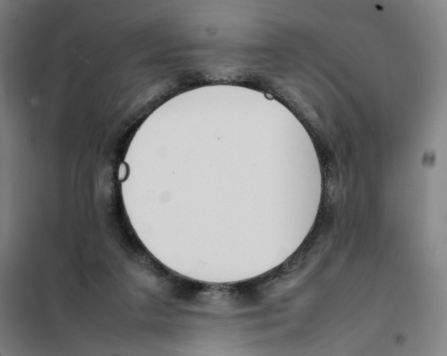 X0000101220211200807251119