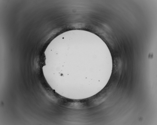 X0000101220212200807251119