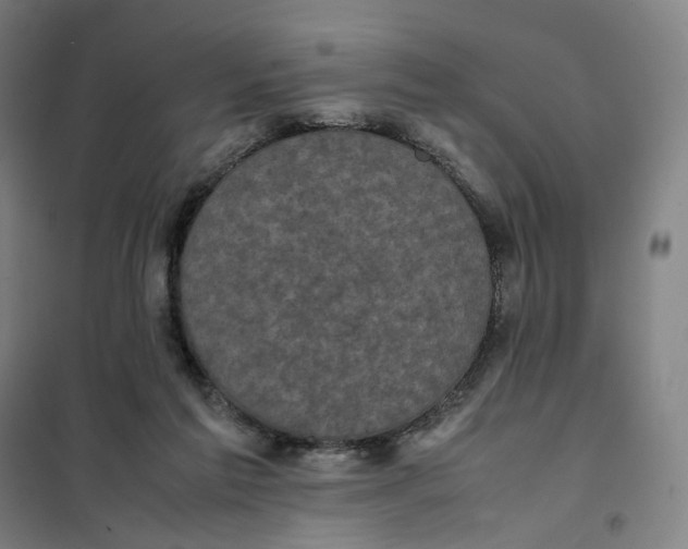 X0000101220213200807251119