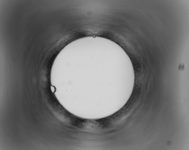 X0000101220215200807251119
