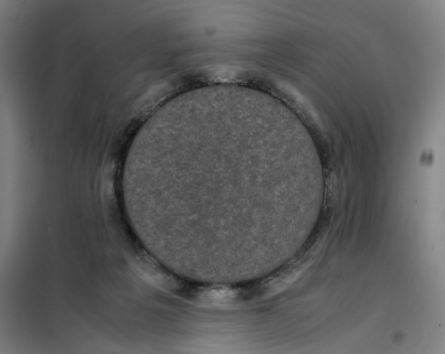 X0000101220217200807251119