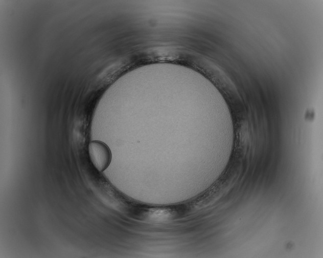 X0000101220218200807251119