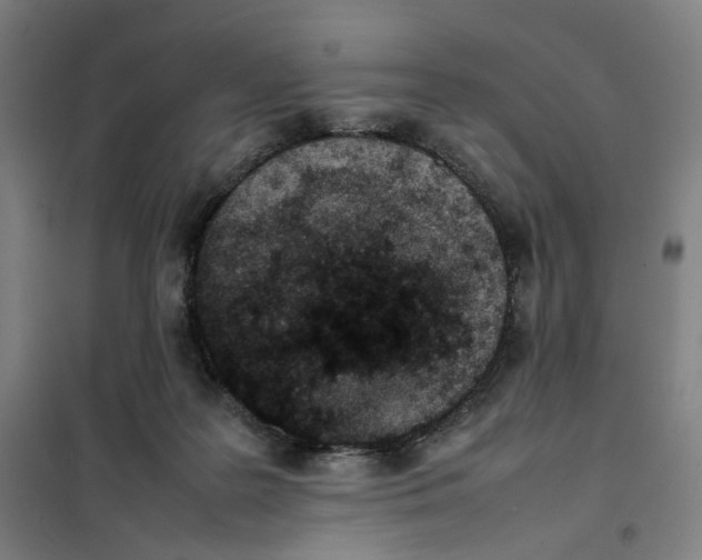 X0000101220219200807251119