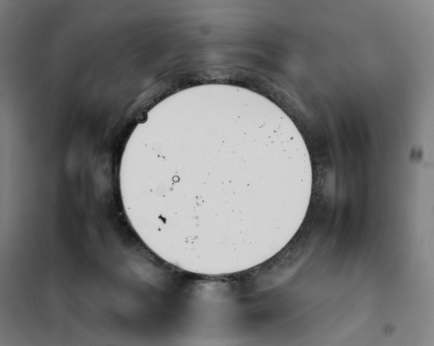 X0000101220220200807251119