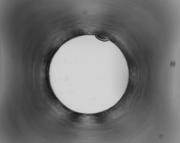 X0000101220221200807251119