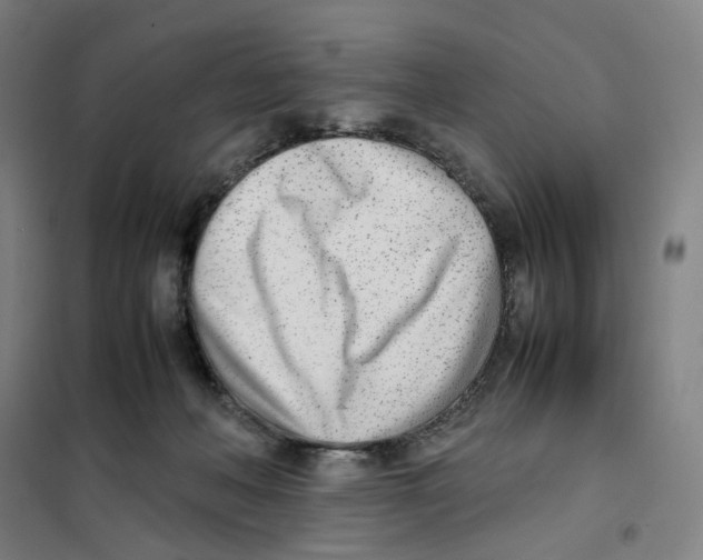 X0000101220222200807251119