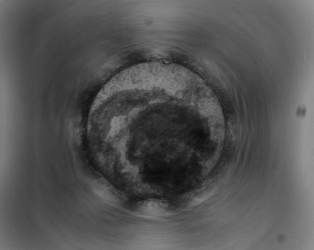 X0000101220223200807251119