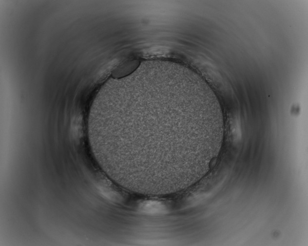 X0000101220224200807251119