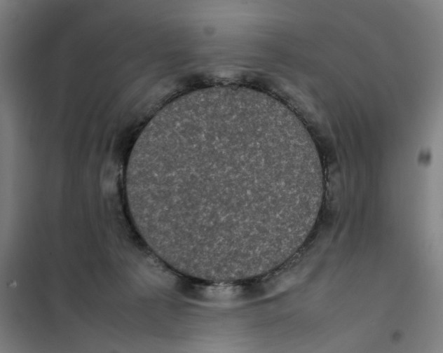 X0000101220225200807251119