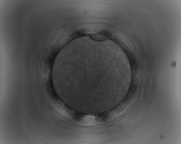 X0000101220227200807251119