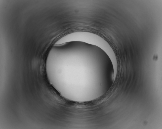 X0000101220228200807251119