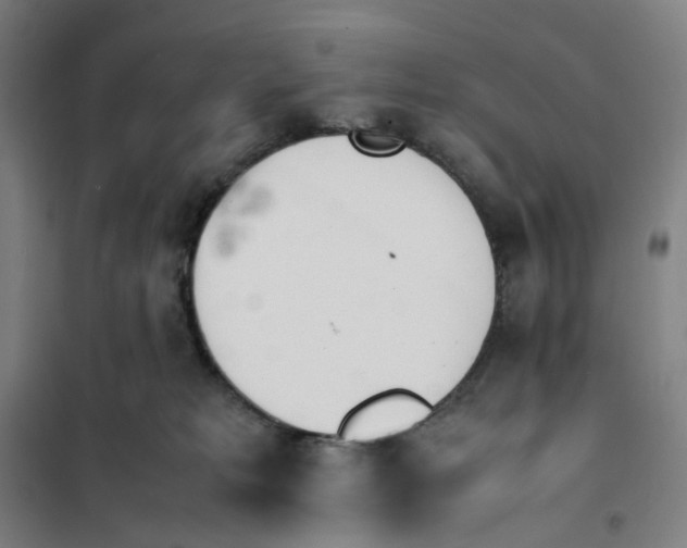 X0000101220229200807251119