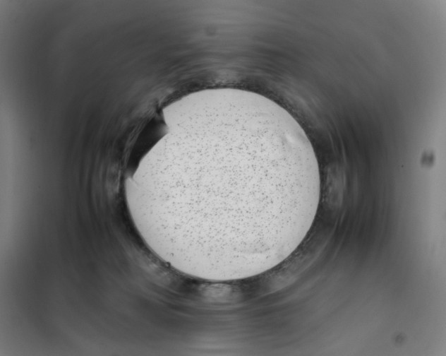 X0000101220230200807251119