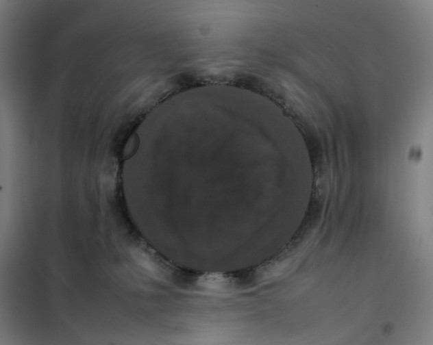 X0000101220231200807251119