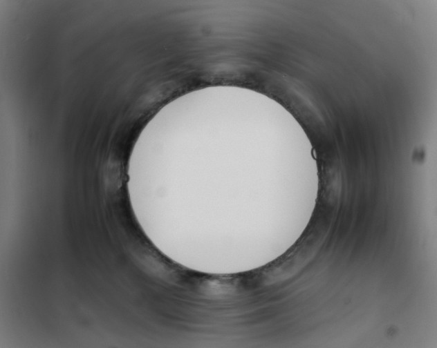 X0000101220232200807251119