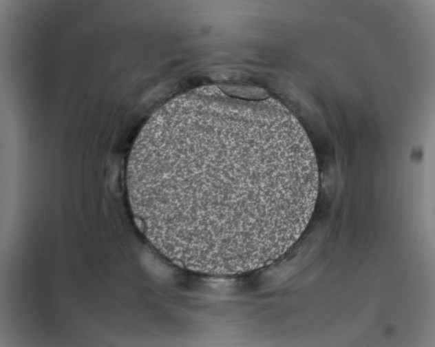 X0000101220233200807251119