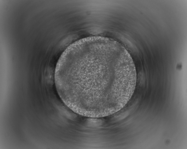 X0000101220234200807251119