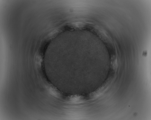 X0000101220235200807251118