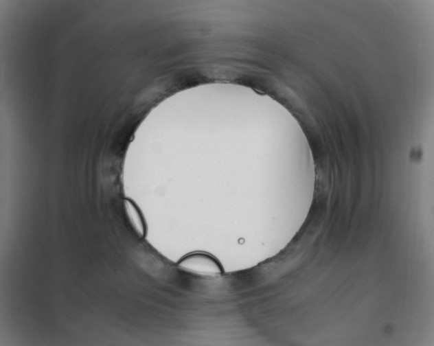 X0000101220237200807251118