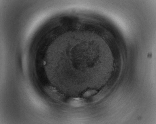 X0000101220239200807251118