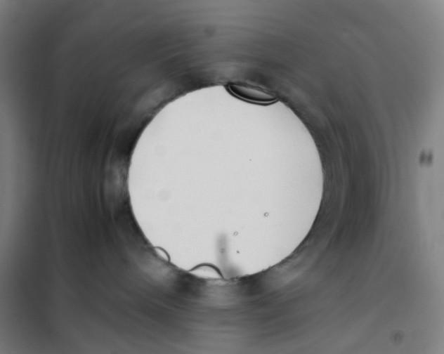 X0000101220240200807251118
