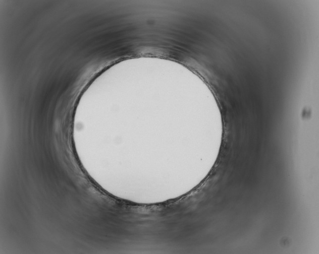 X0000101220241200807251118